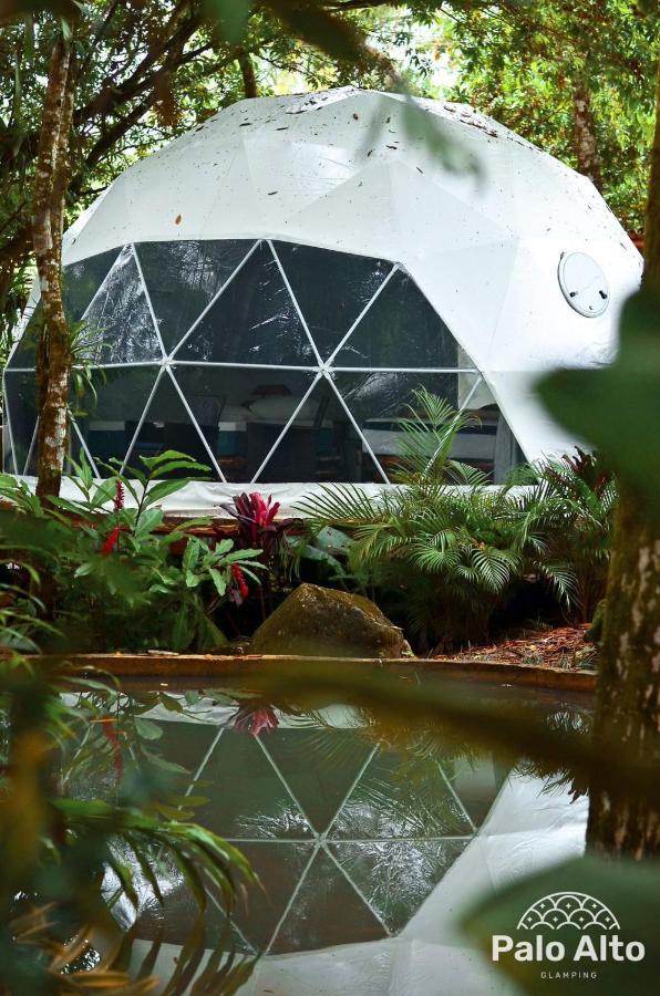 Glamping Suite,1523802817:JPEG